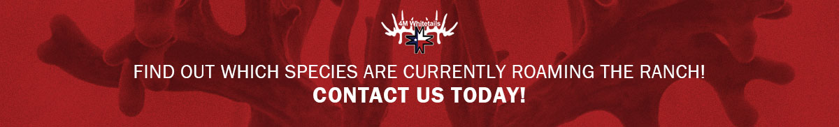 Contact 4M Whitetails