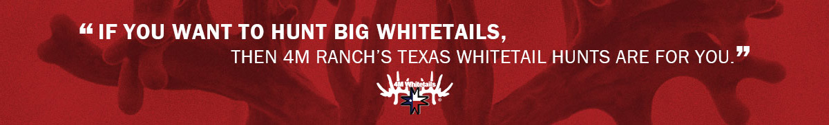 Texas Whitetail Hunts