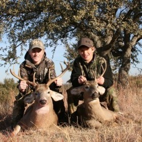 Texas Whitetail Hunts